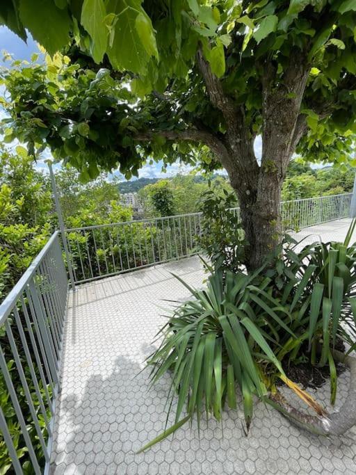 Paisible Eden Standing Terrasse - Magnifique Vue - Esprit Nature En Pleine Ville تول المظهر الخارجي الصورة